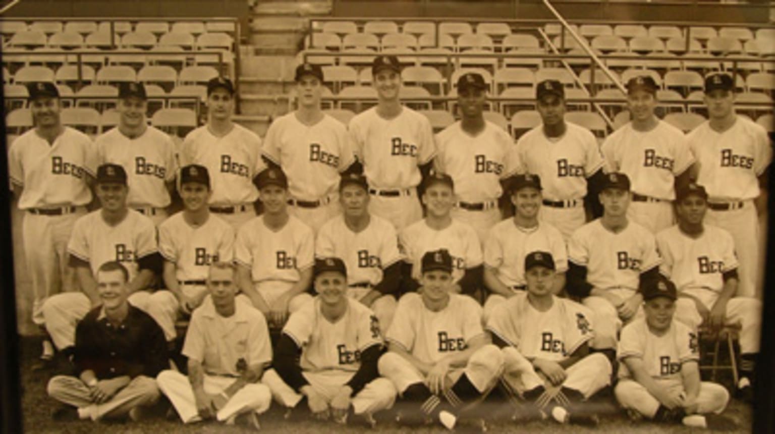 Salt Lake Bees History Bees