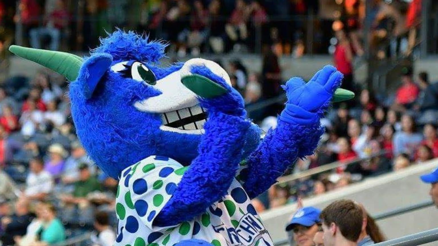 Donations Mascot Appearances Yard Goats
