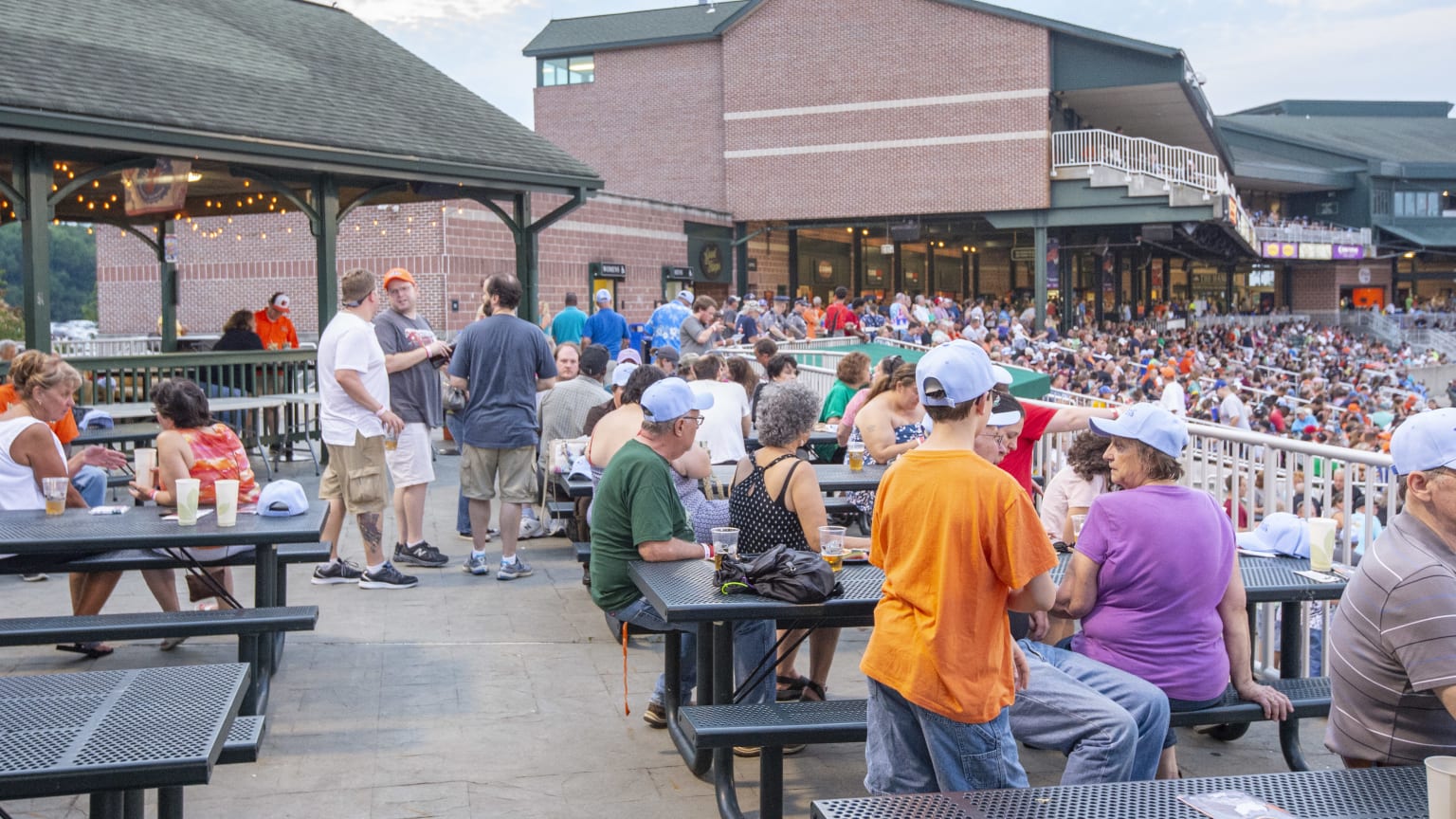 IronBirds Group Outing Options IronBirds