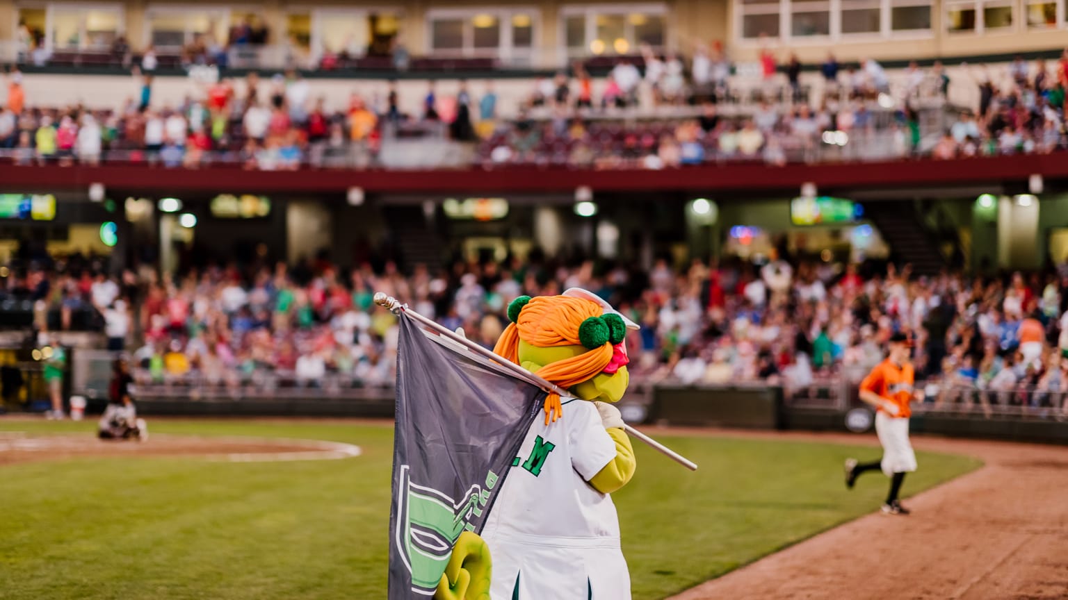 Dayton Dragons About Dragons