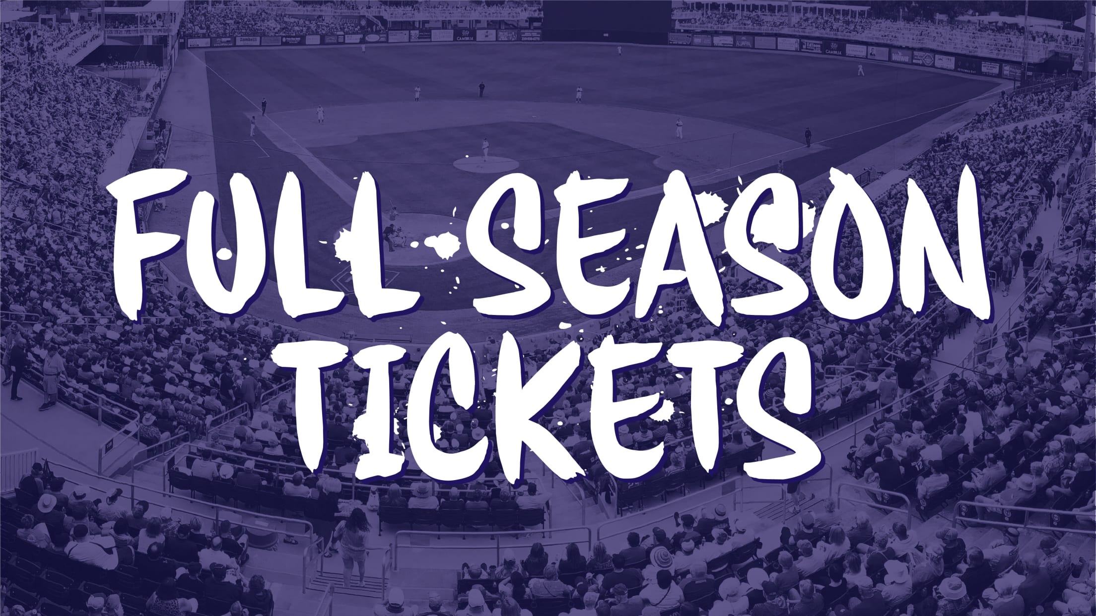 mighty-mussels-mighty-mussels