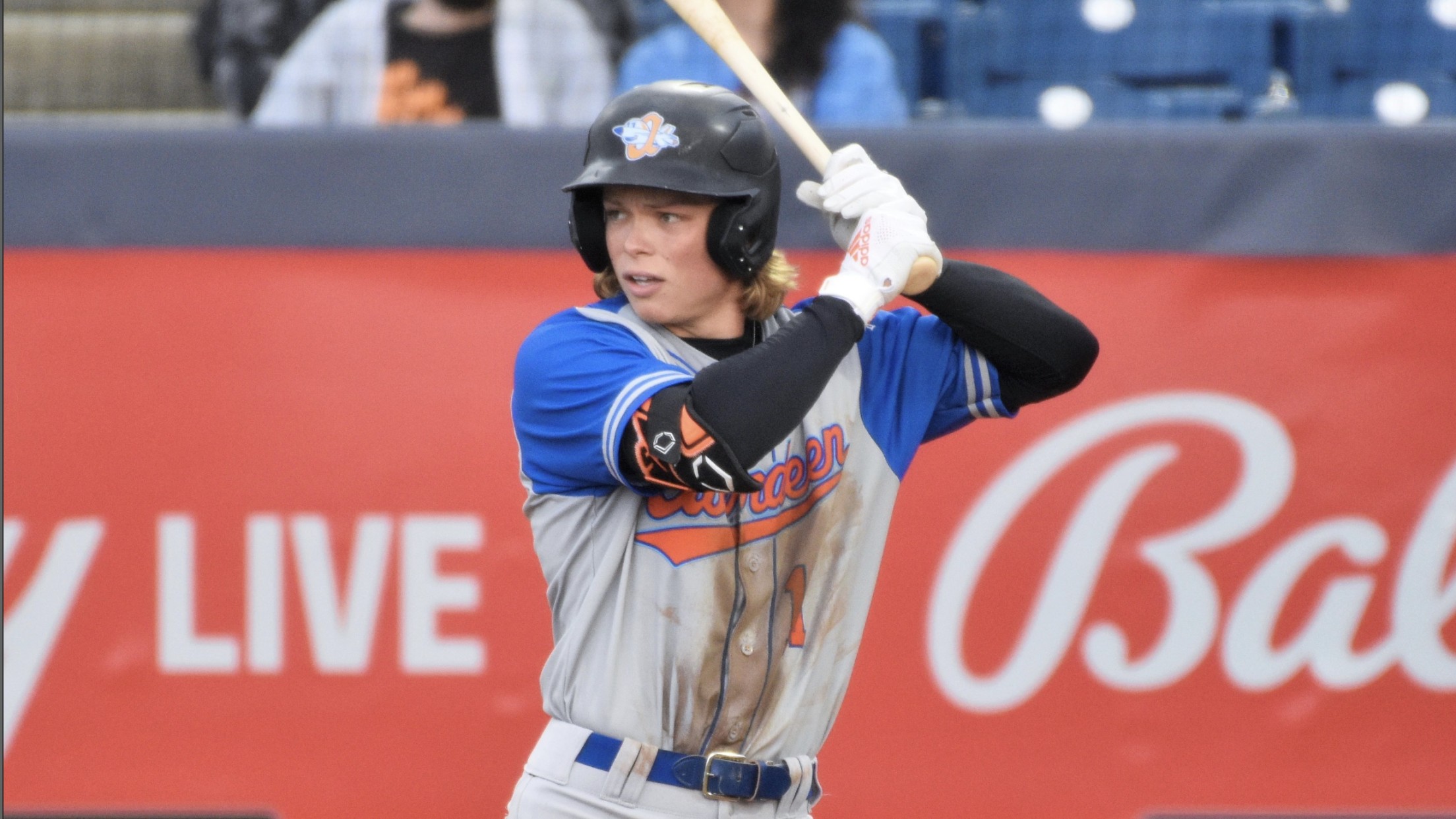 Ironbirds Team Page IronBirds