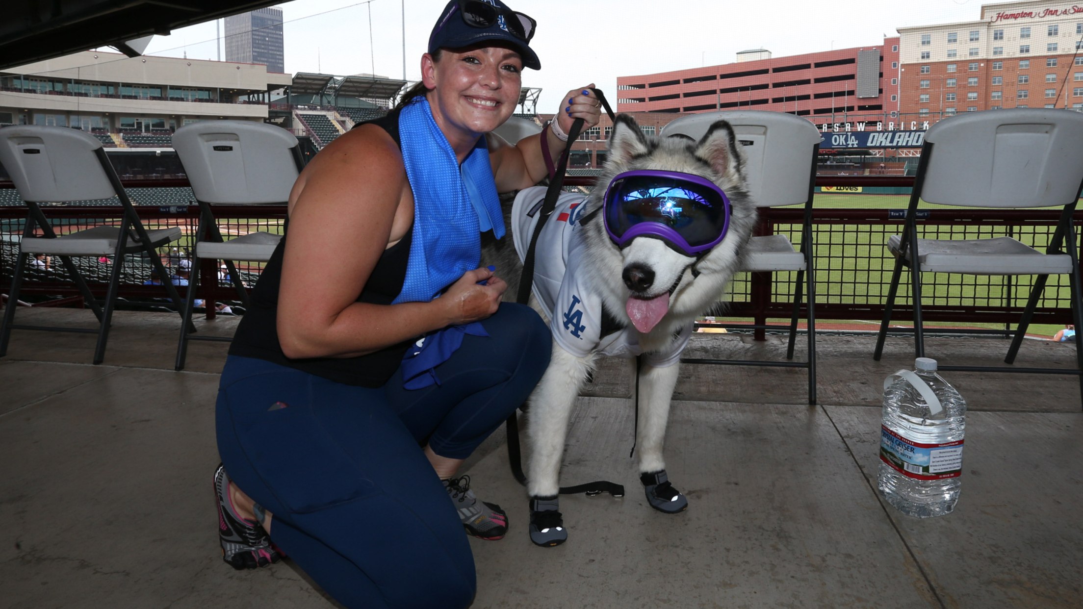 Bark in the Park Dodgers