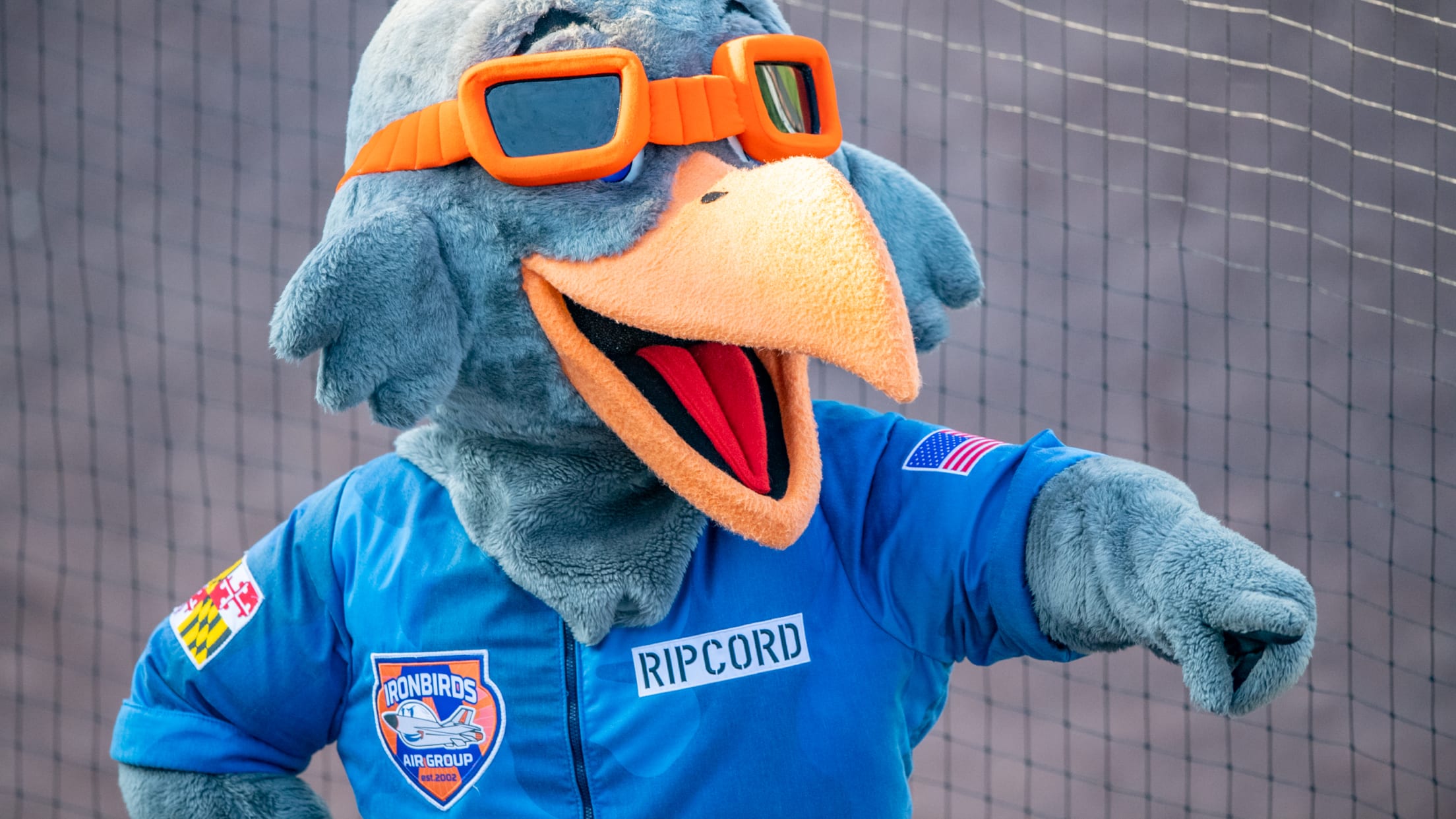 Leidos Field at Ripken Stadium IronBirds