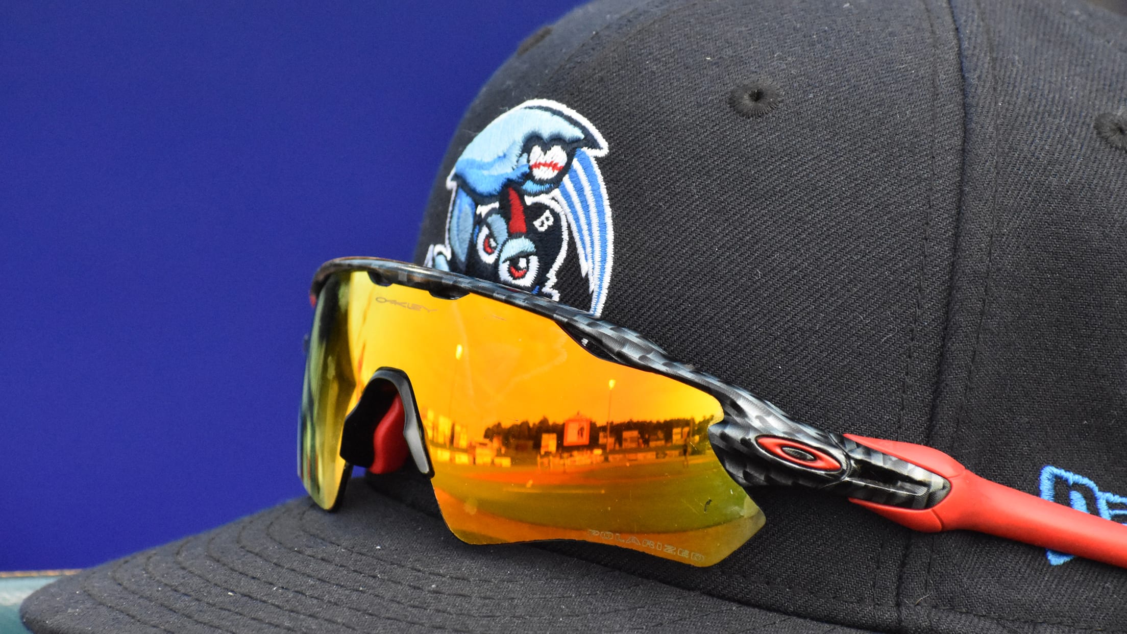 From The Desk of BlueClaws President Joe Riccuitti | MiLB.com