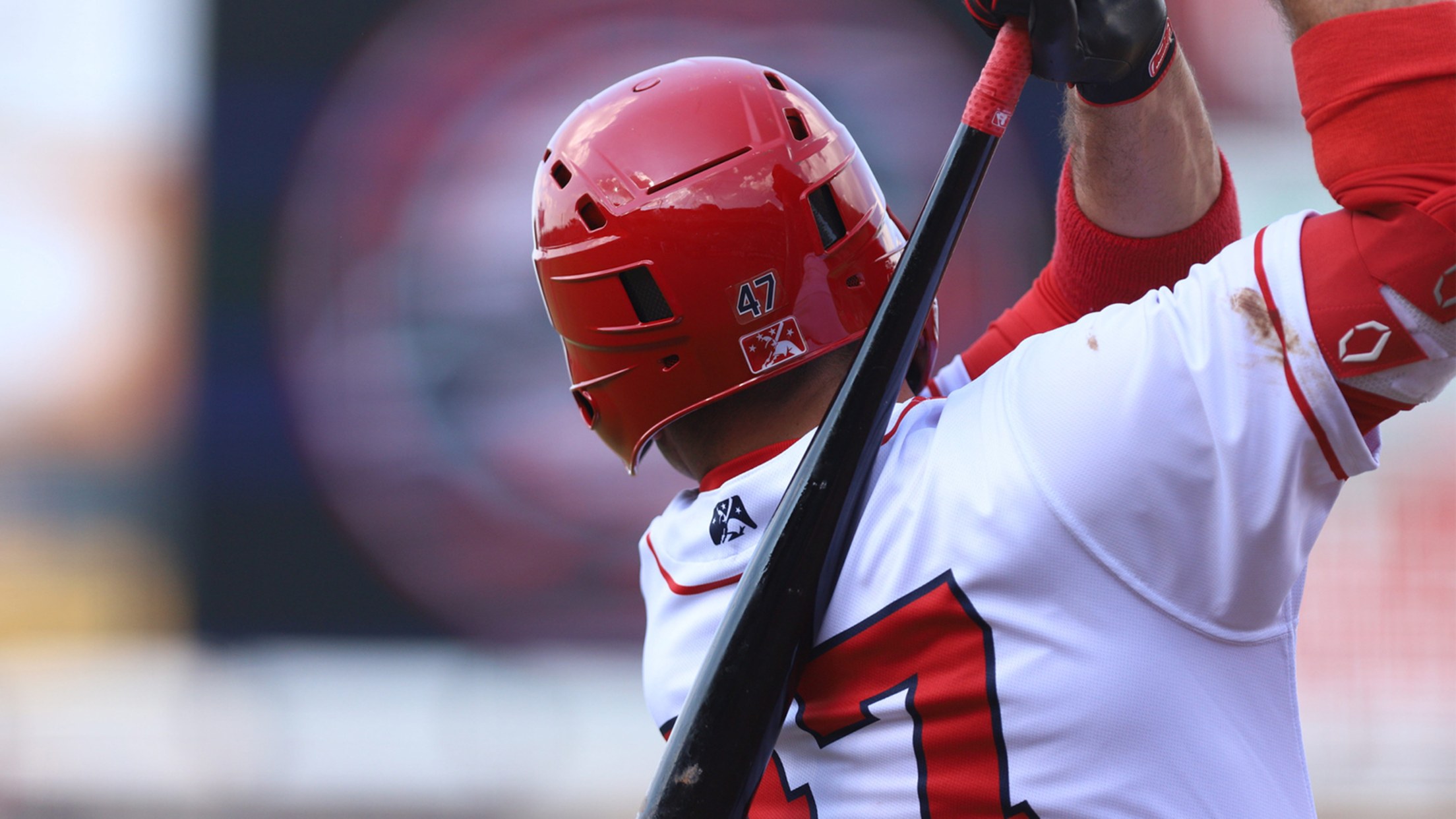 Account Manager Bats