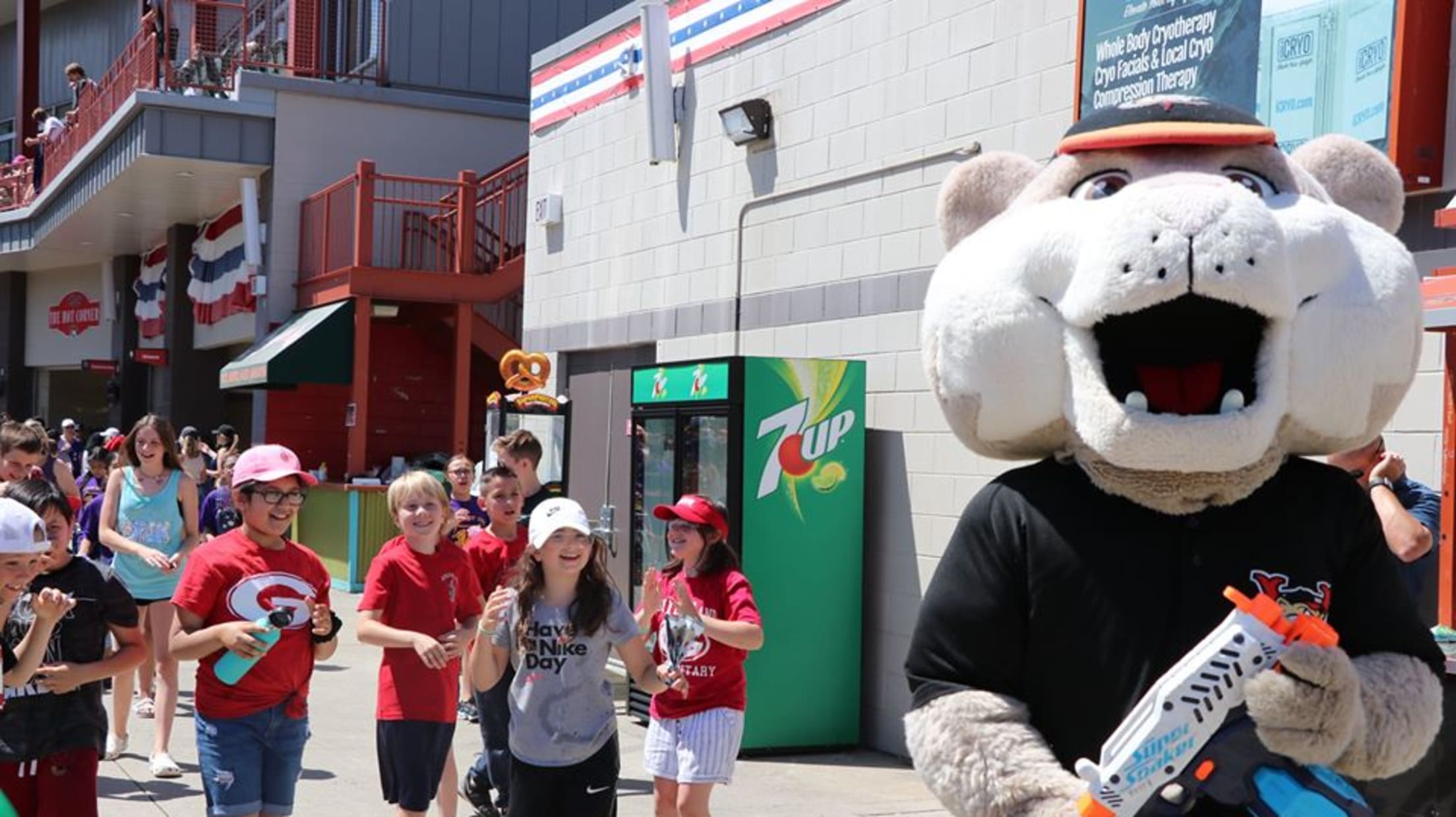 ValleyCats in the Community ValleyCats