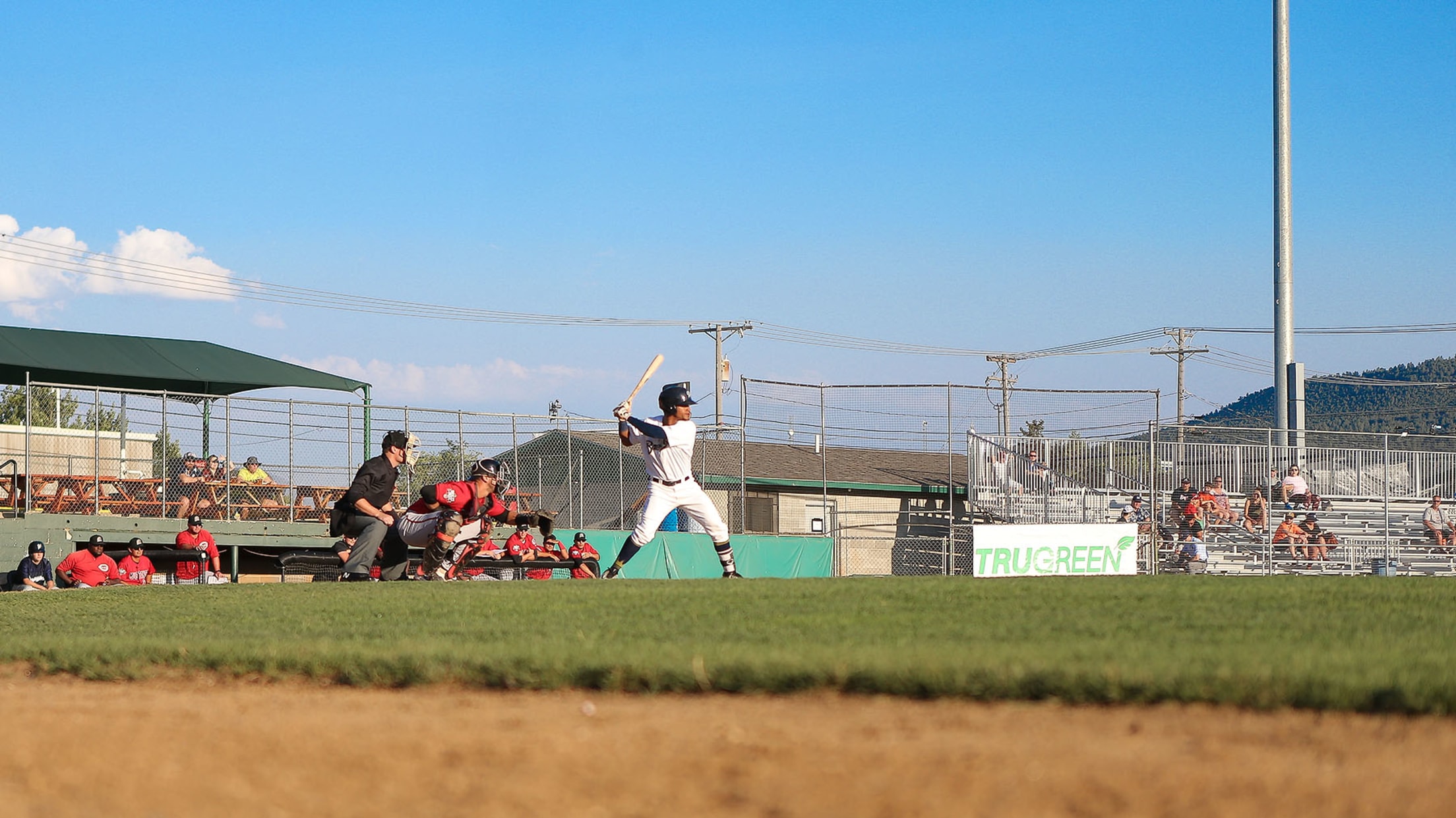 Bryan Torres Stats, Age, Position, Height, Weight, Fantasy & News