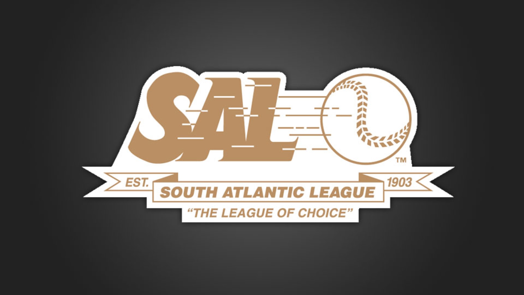 Teams in Minor League Baseball by League | MiLB.com