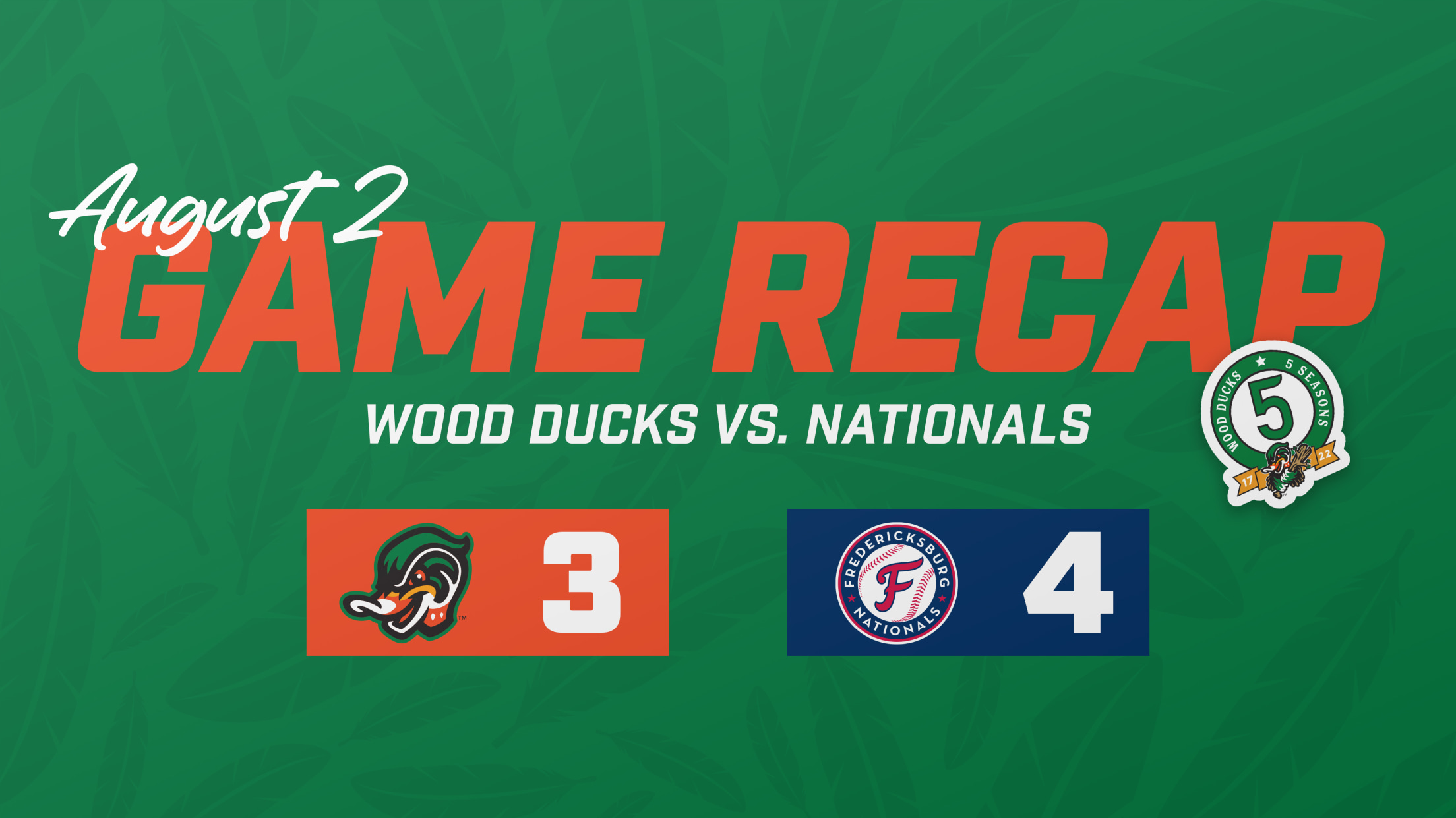 Woodies Close Call Wood Ducks