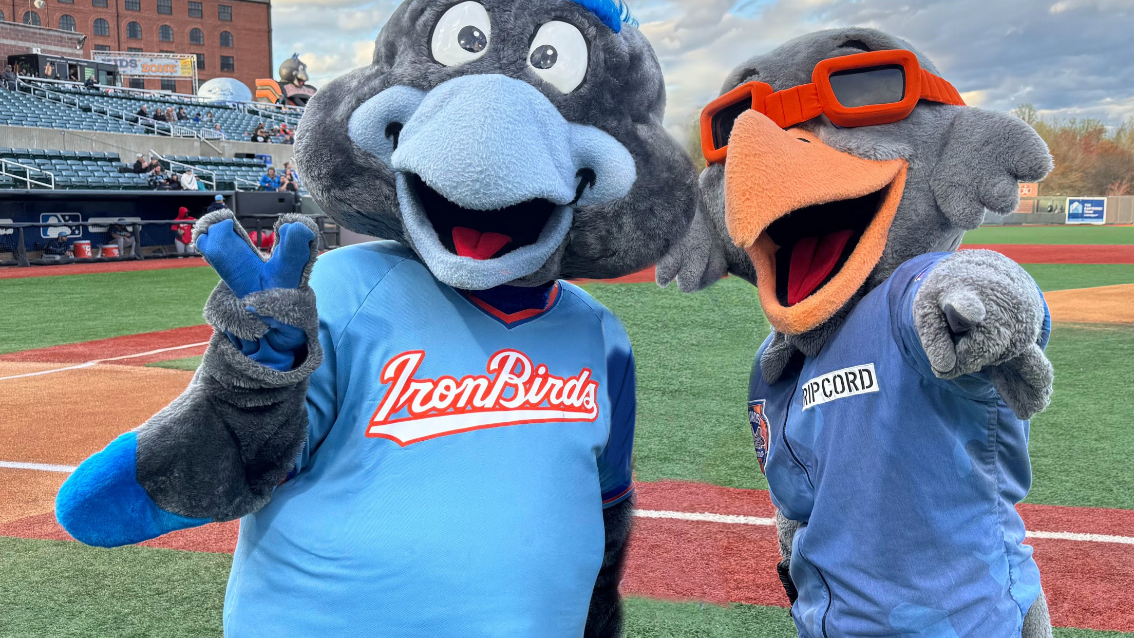 Ironbirds Team Page IronBirds