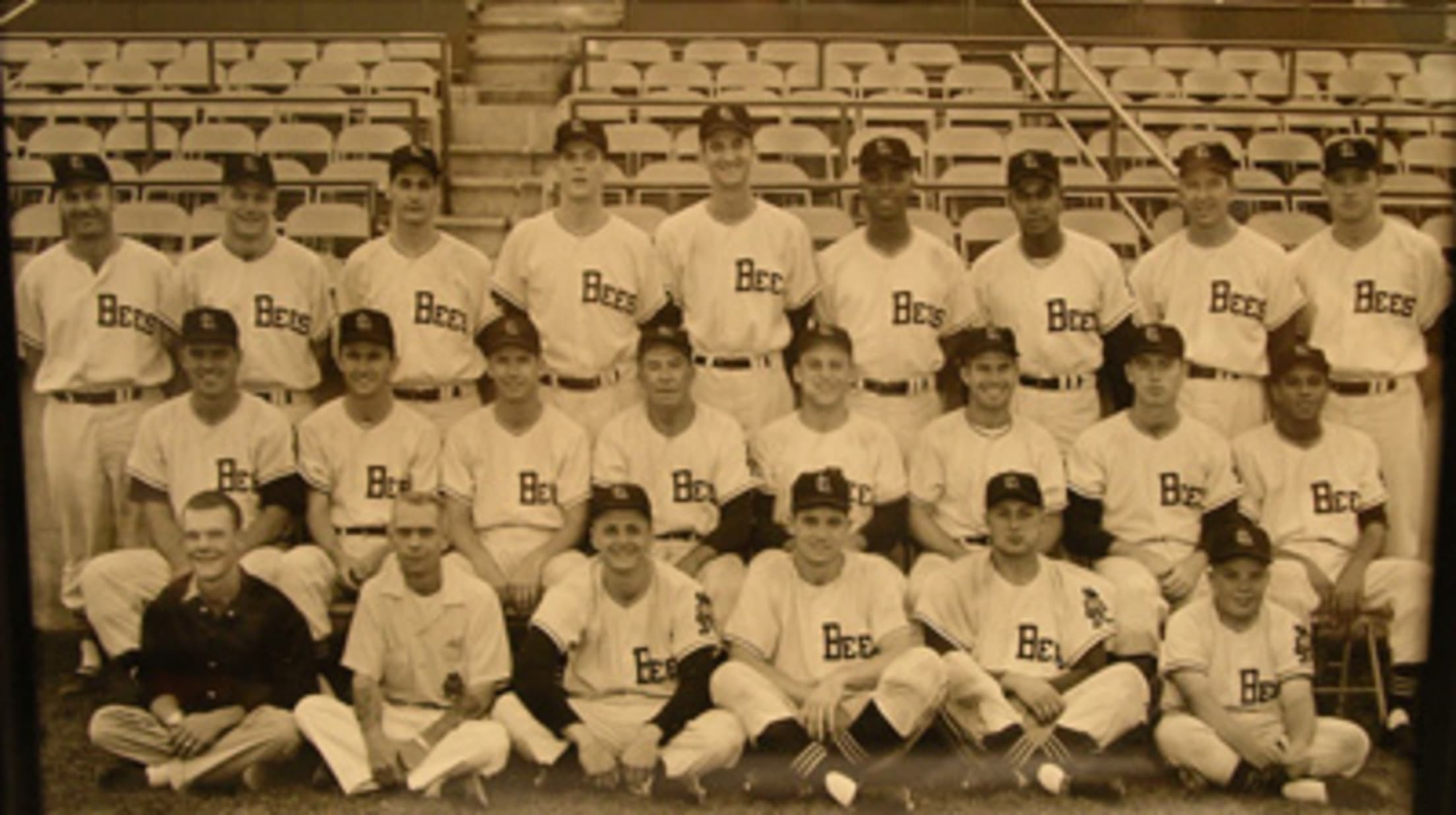 Salt Lake Bees History Bees