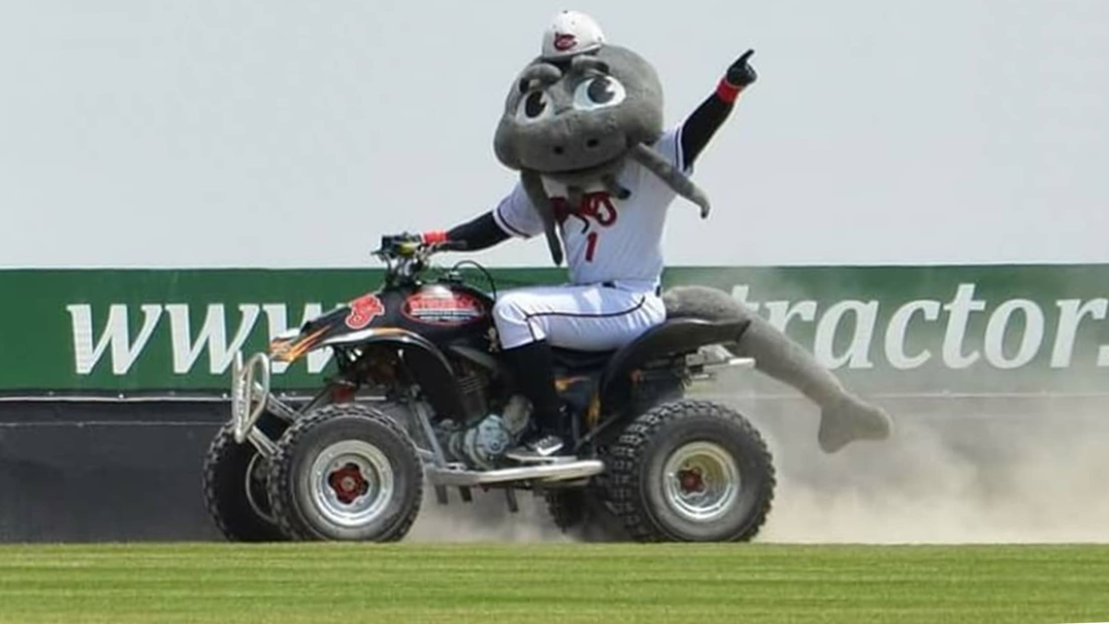 Muddy the Mudcat | Mudcats