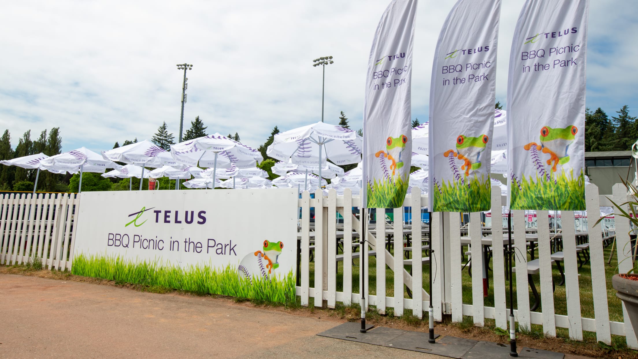 BBQ Picnic in the Park Vancouver Canadians Canadians