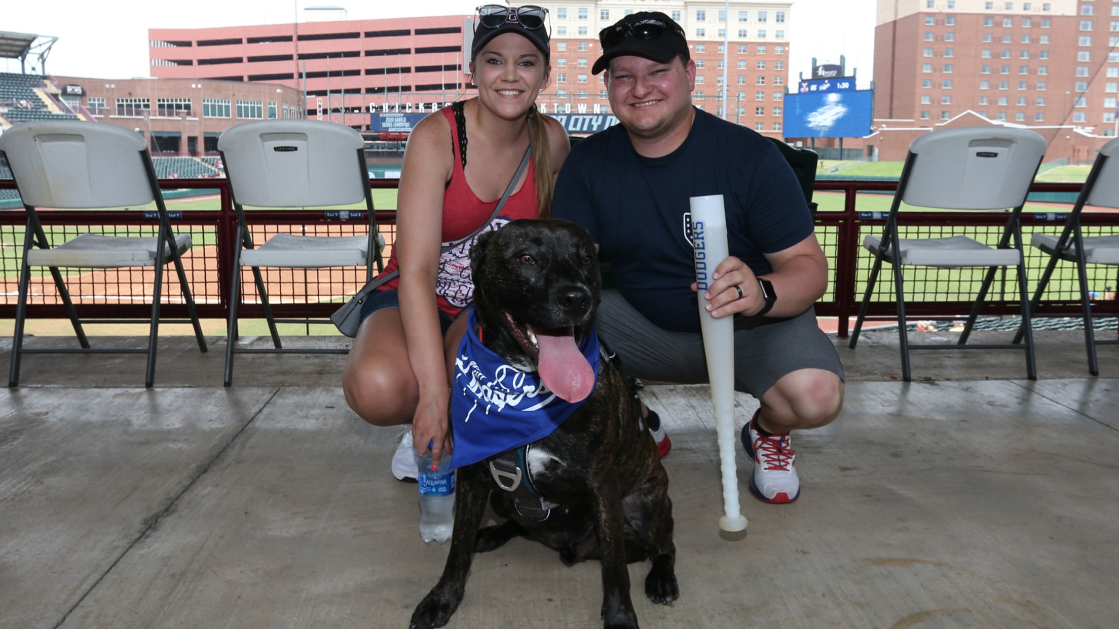 Bark in the Park Dodgers
