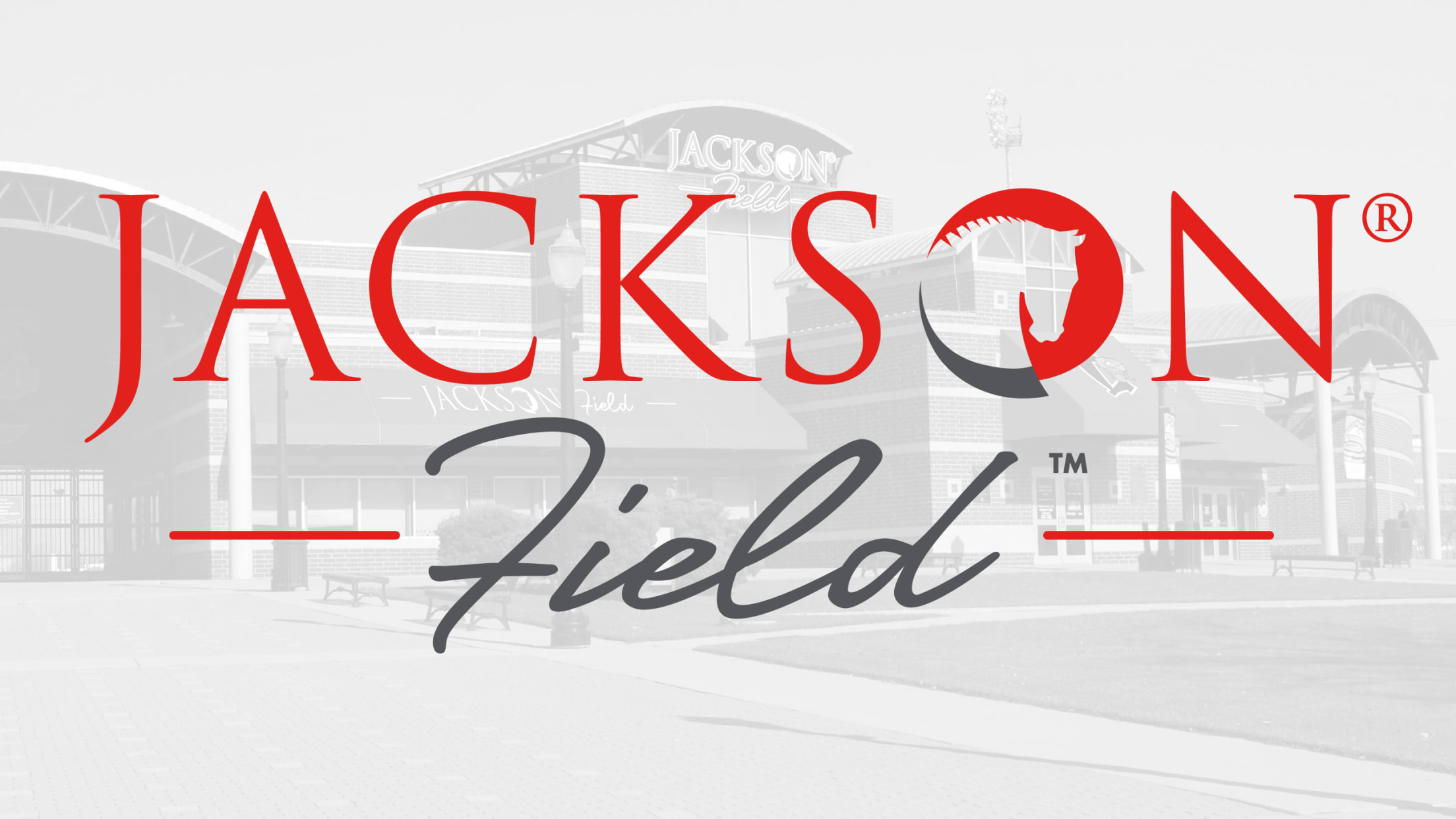Jackson® Field™ Info Lugnuts