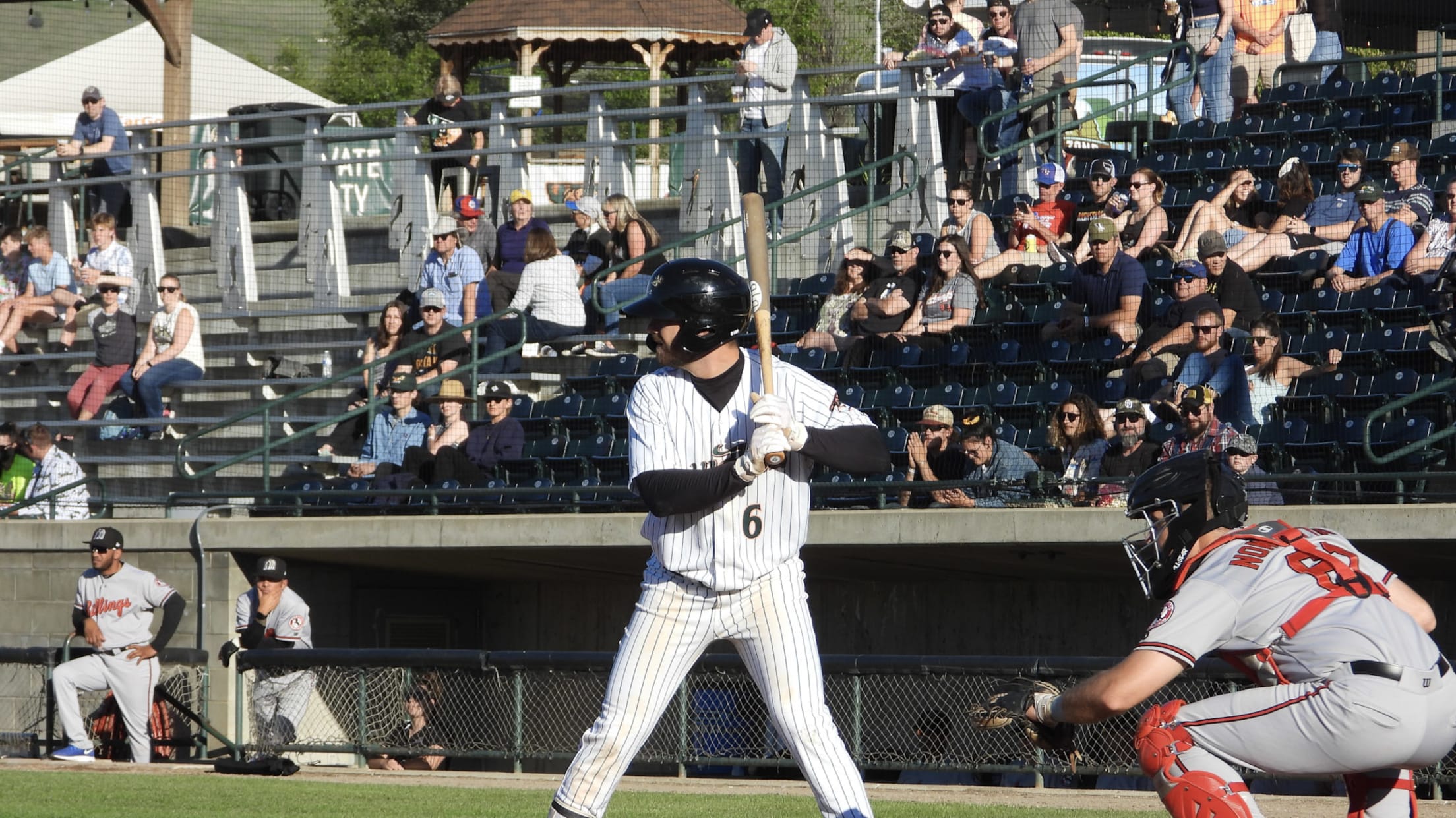 Raptors Rally Past PaddleHeads Late to Steal Victory | MiLB.com