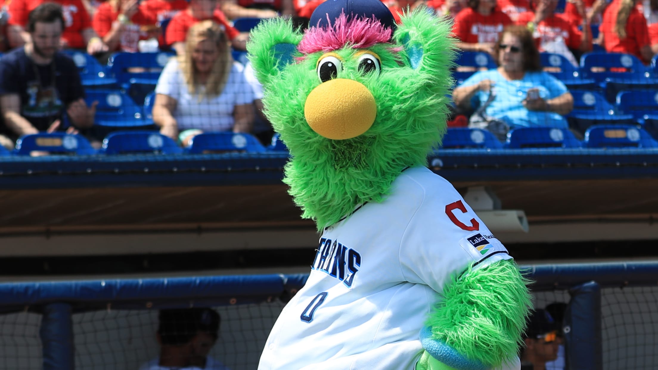 Lake County Captains