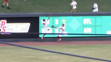 Smith makes leaping catch for Bats