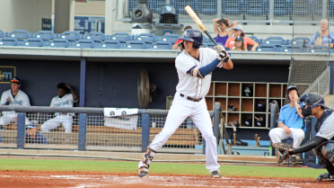 Stone Crabs walk off into first with 8-7 win
