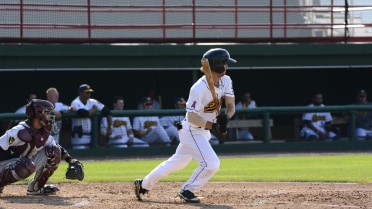 Bees Denied Sweep by Chiefs