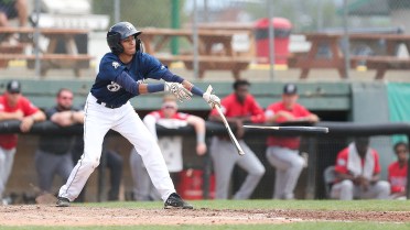 Brewers Edge Owlz To Win Fourth Straight