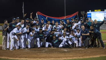 Hillcats claw way to Mills Cup crown