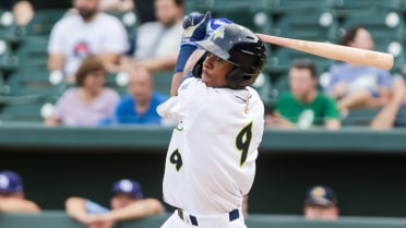 Fireflies Allow Historic Hit in 6-4 Loss