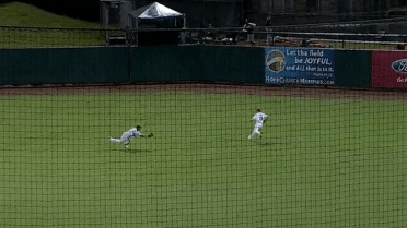 Williams lays out for diving catch