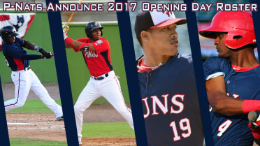 Potomac Nationals Announce 2017 Roster