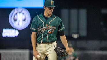 Ford's strong start, Triolo's slam lead Hoppers in 8-0 win over Dash