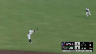 Norfolk's Johnson makes a leaping catch