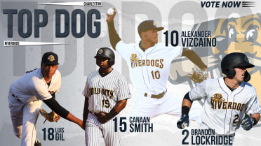 RiverDogs Name Four Finalists for 'Top Dog' of the Season to Be Decided by the Fans