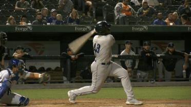Noel swats two homers for Lake County