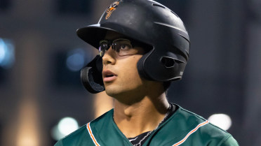 Hoppers lose series opener at Asheville