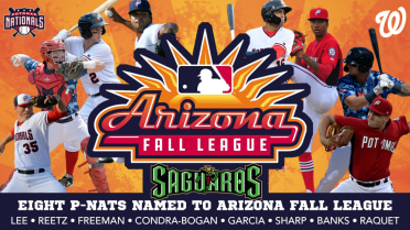 Eight Current & Former P-Nats Headed to 2019 Arizona Fall League