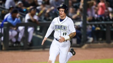 Fireflies Give Up 13 in Third Consecutive Loss