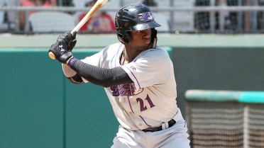 MiLB announces April Uncle Ray's Players of the Month