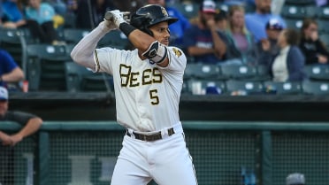 Hermosillo hammers trifecta for Bees