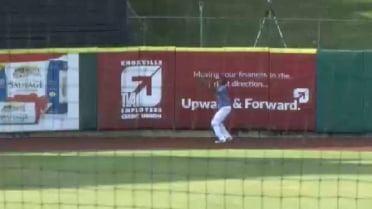 Tennesee's Martin steals homer from Cron