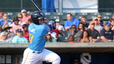 Pelicans split doubleheader with Hillcats