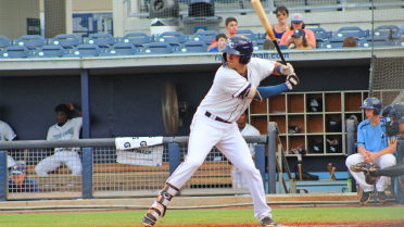 Stone Crabs pull out wild 13-12 win in Fort Myers