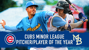 Cubs name Young, Swarmer Minor League Player and Pitcher of the Year