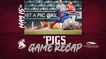 Pigs and Bisons split DH on Sunday Afternoon