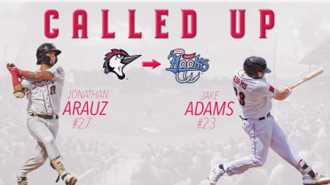 Jake Adams and Jonathan Arauz Promoted to Double-A