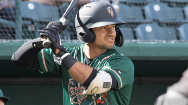 Nick Gonzales' 3 home runs, 8 RBIs lead Hoppers to win