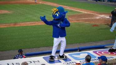 braves romey milb mascots