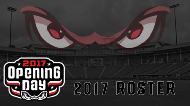 Padres Announce 2017 Storm roster