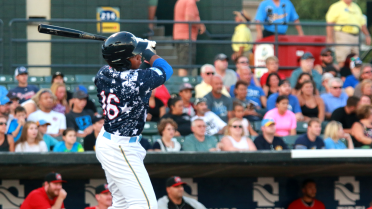 Paula, Hodges power Pelicans to 8-3 victory