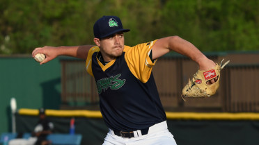 Snappers Bounce Back With Double-Header Sweep